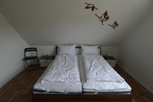 FroschKönig FroschKönig