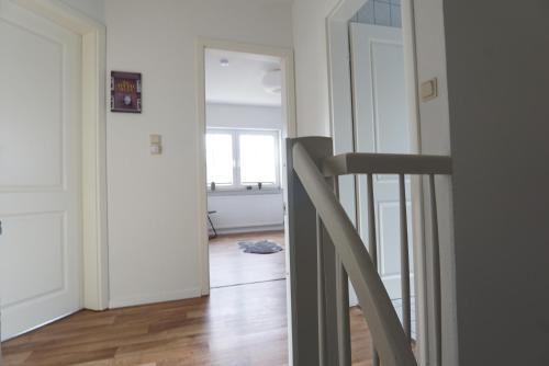 FroschKönig FroschKönig