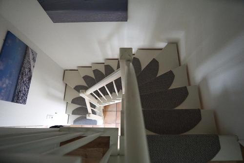 FroschKönig FroschKönig