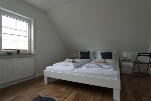 FroschKönig FroschKönig