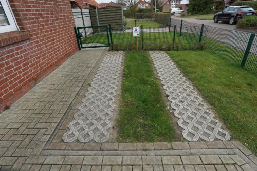 FroschKönig FroschKönig