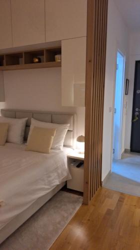 Apartman Aleksandra Vrnjacka Banja - Apartment - Vrnjci