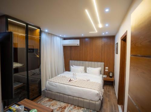 Tuya pyramids history