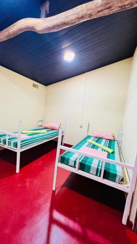 Hakuna Matata Hostel - image 5