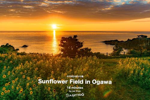 周辺観光スポット