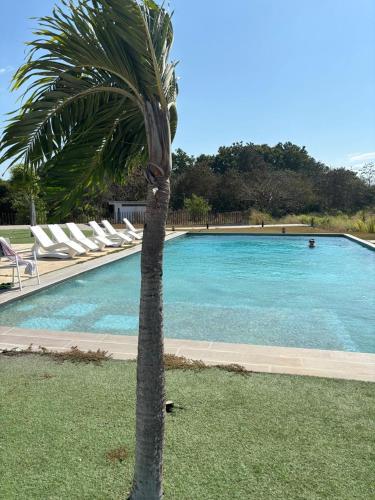 Kilátás, Summer House in San José