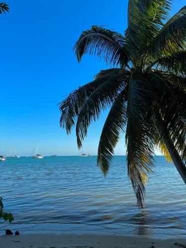 Nabij attractie, Silver Sand Hostel in Placencia