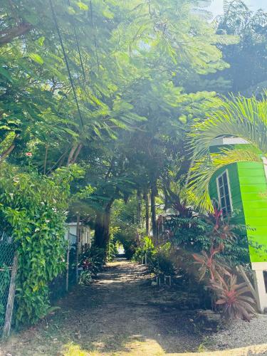 Omgeving, Silver Sand Hostel in Placencia