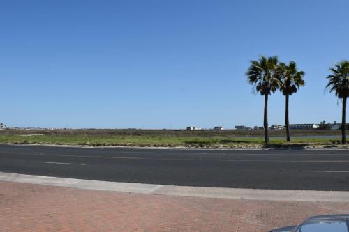 Island Palms Island Palms