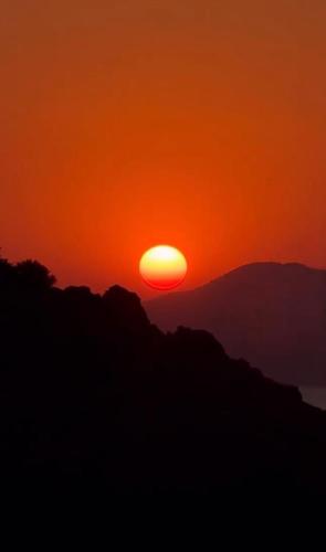 Habitación en el campo con baño privado en Puerto Pollensa