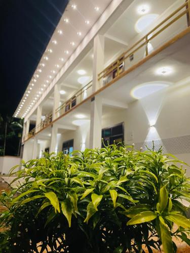 Great Victoria Palace - Ratnapura