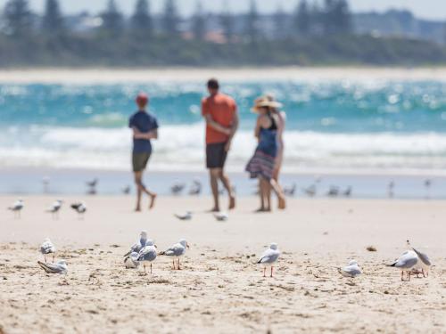 Creekfront Kingscliff Waters 5