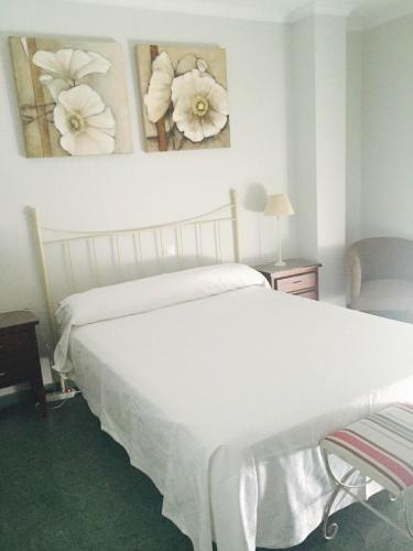 Hostal Acemar - image 8
