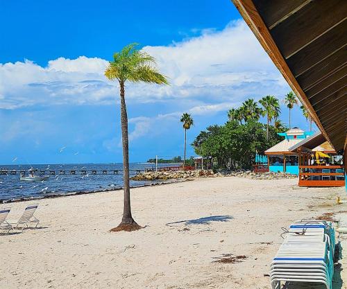 Little Harbor Resort #207 Tampa Bay FL, Paradise in รัสกิน (FL)