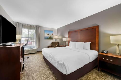 Comfort Inn