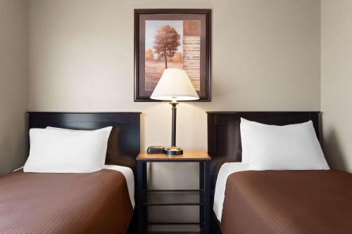 Eagles Den Suites at Cotulla - image 12
