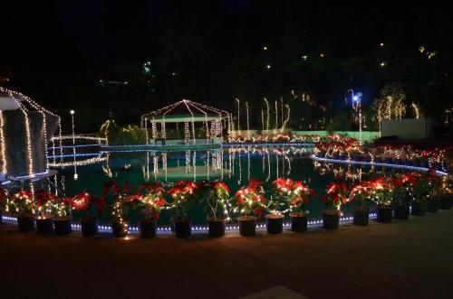 สระว่ายน้ำ, Aveda Blue Country Resort in พันช์กานี่