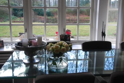 Kilátás, B&B De Hagmolenbeek Boekelo in Boekelerveld