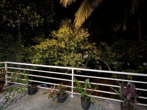 Surrounding environment, GB Royal Stay Anuradhapura in Anuradhapura