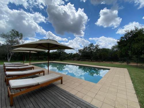 สระว่ายน้ำ, Simunye Private Game Reserve in เบสเตคราล