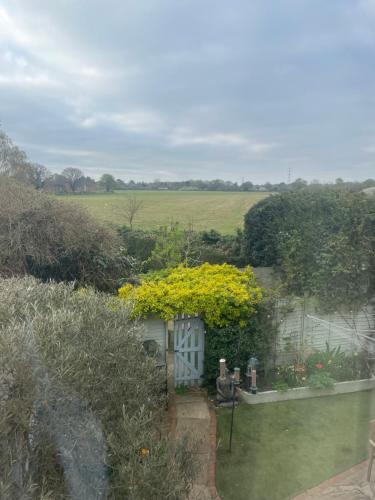 Newark lane in Ripley (Surrey)