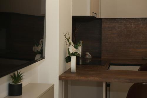 Treni Centrum Apartaments, Tirana (photo 10)