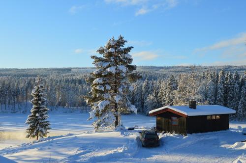 Accommodation in Trysil