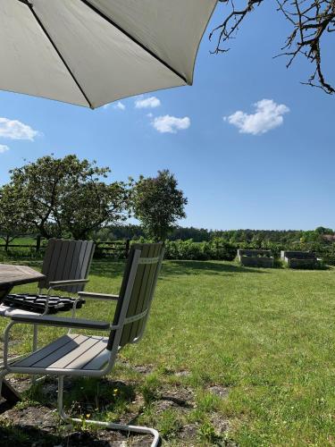 花園, Lilla Taksten in 里布羅