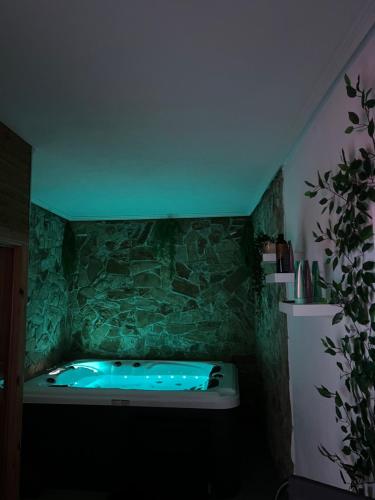 Wellness Spa Hotel Zeleni Raj - image 4