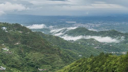 LakeView Kasauli Cottage - image 5