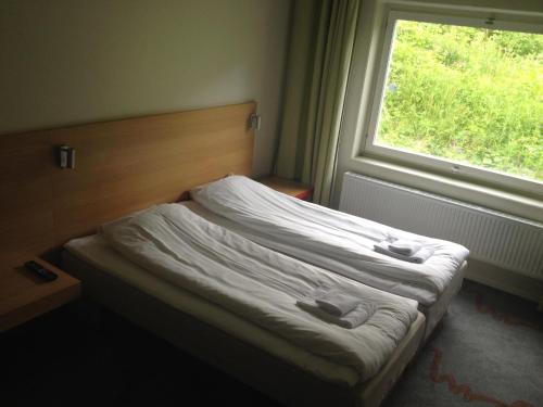 Tärnaby Fjällhotell - image 2