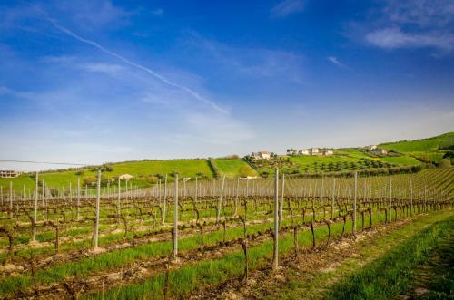 Agriturismo Agrimare Barba