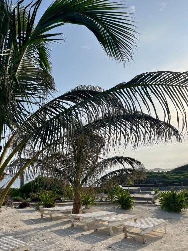 Pendo room at Lulu Sands in 華塔木