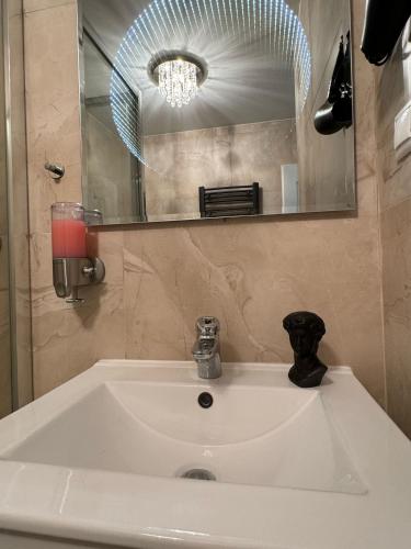 Luxury design apartment in downtown centre with free parking