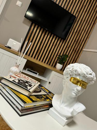 Luxury design apartment in downtown centre with free parking