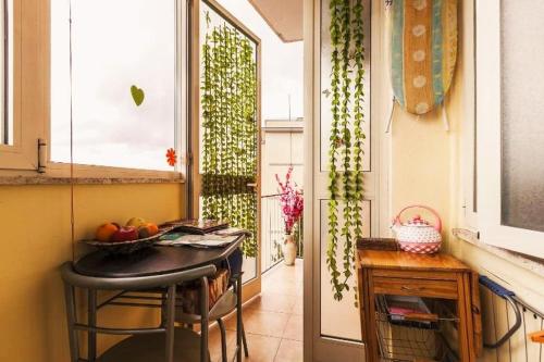 CASA Bella - image 6