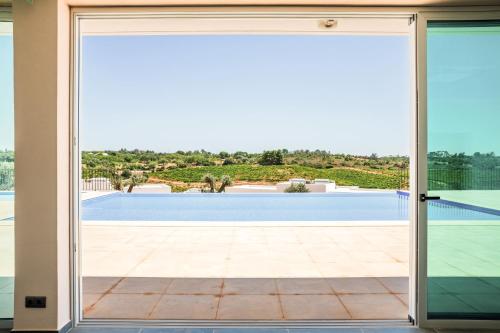 Studio with Vineyard View