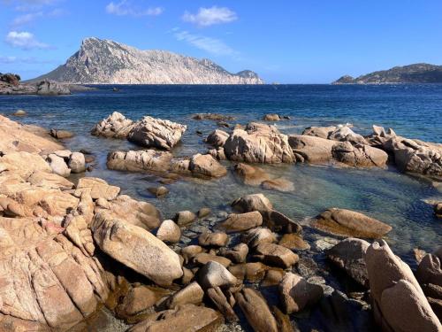 Le Giuggiole di Punta Molara