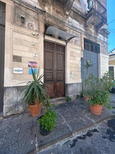 One-Bedroom House image 4