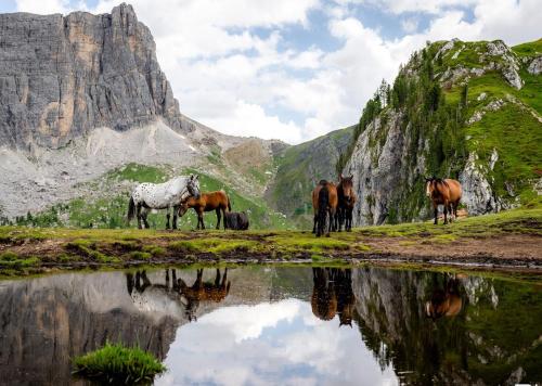 Tuvākā izklaides vieta, Esperienza Unica al Passo Giau - Appartamento con Vista Panoramica in Colle Santa Lucia