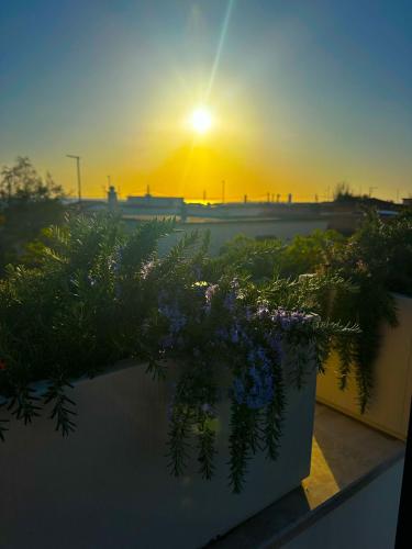 Luxury Apartments Collection Sand Suite in Passoscuro