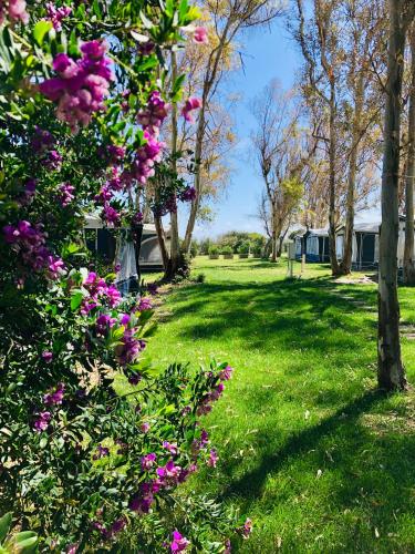 Camping Cala d'Ostia 5