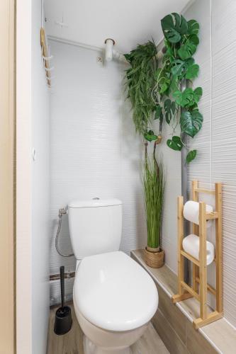 One-Bedroom Apartment image 7