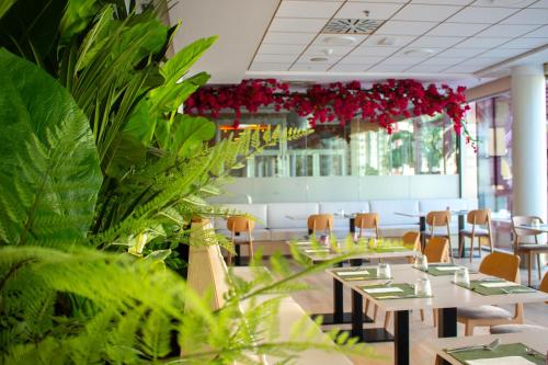 AR Diamante Beach Spa Hotel - image 11