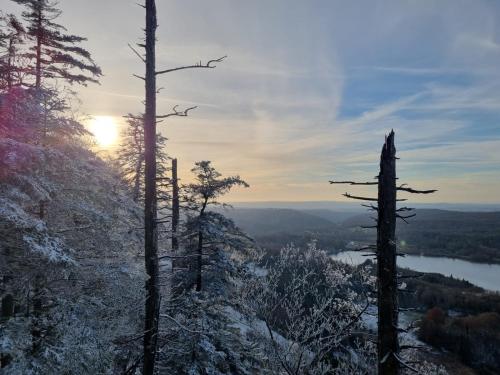 Sapin in Les Piards ciems