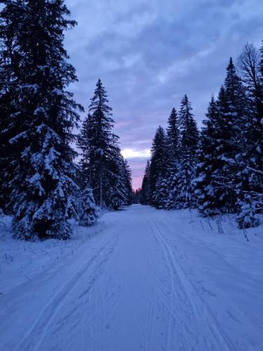 Sapin in Les Piards ciems
