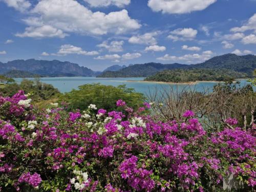 Khao Sok (Surat Thani) SP House Khao Sok Hotel lobby