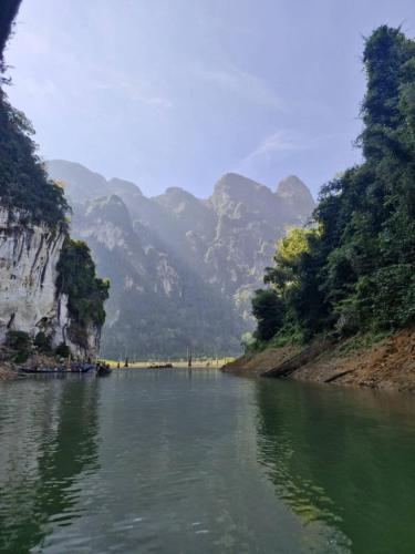 Khao Sok (Surat Thani) SP House Khao Sok Hotel view