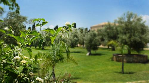 Hotel Villa Fanusa - image 3