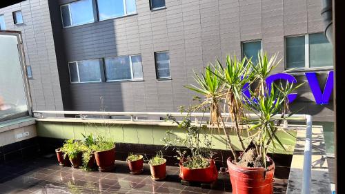 Leonard apartament, Tirana (photo 10)